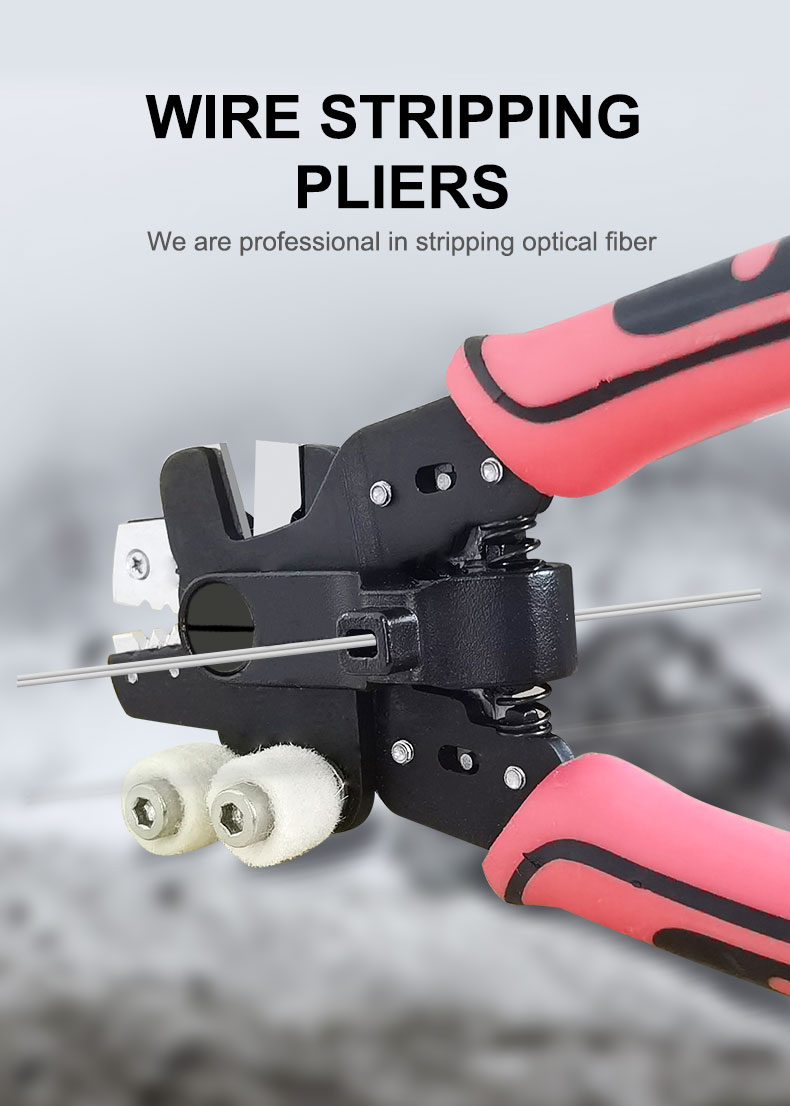 FCST221069 (5) FCST221069 (5)