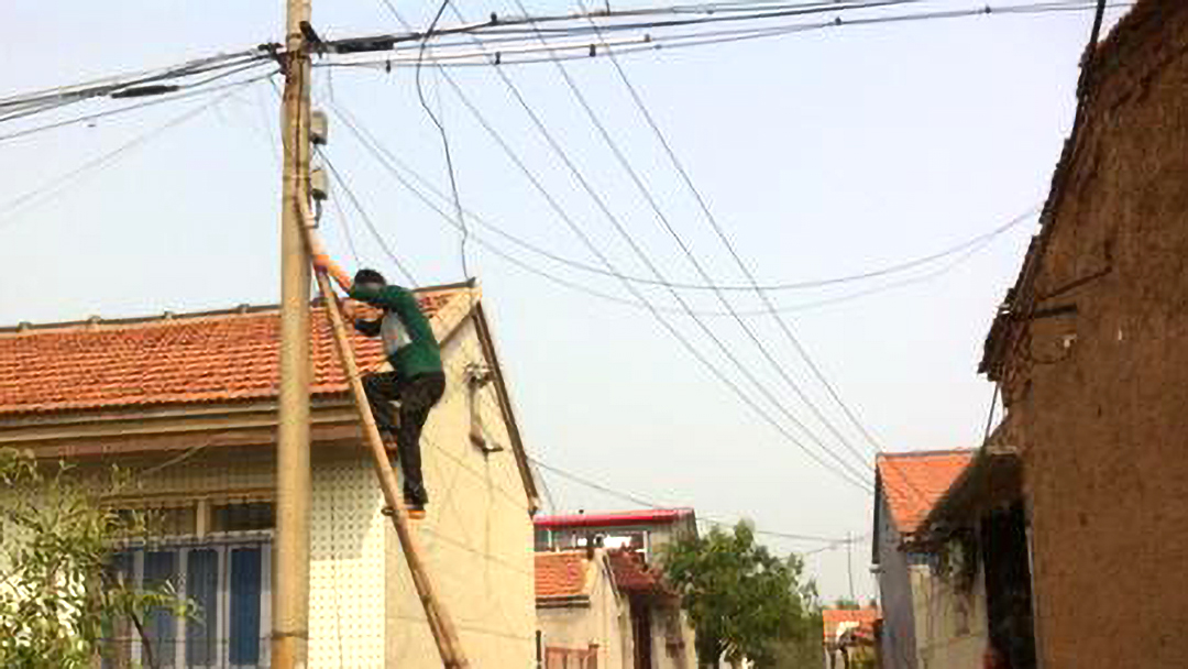 The use of fiber optic networks in rural areas L'utilisation des réseaux de fibre optique en zone rurale