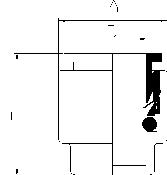 alt Structure du capuchon d'extrémité du micro-conduit.