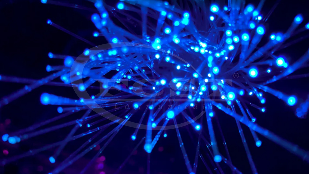 ~!phoenix_varIMG100!~